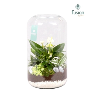 Green bottle xxlarge met white arrangement