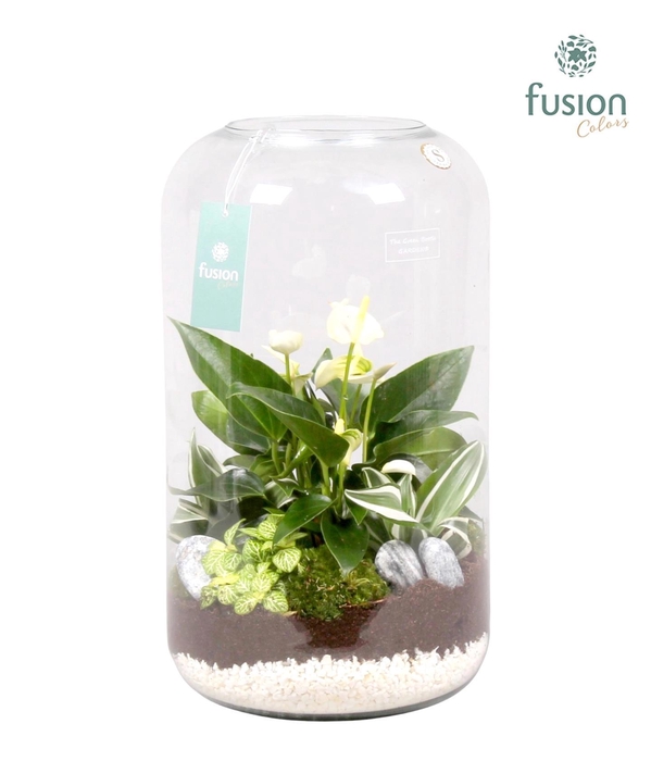 <h4>Green bottle xxlarge met white arrangement</h4>