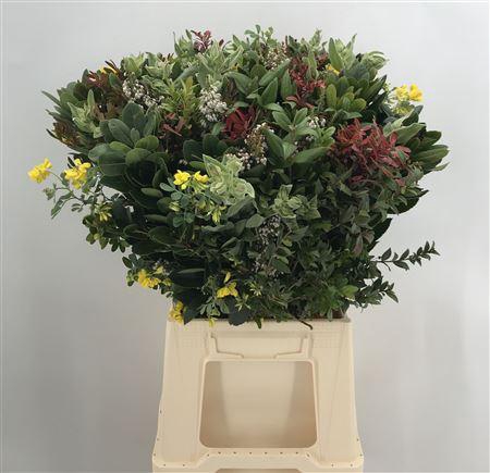 <h4>Bqt Provencal</h4>