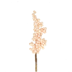 50cm Berry 6*12cm