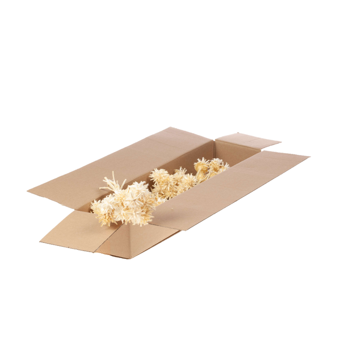 <h4>Plumosum Branch 10pc Sb Bleached White</h4>
