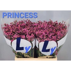 Lim Sin Princess Dia