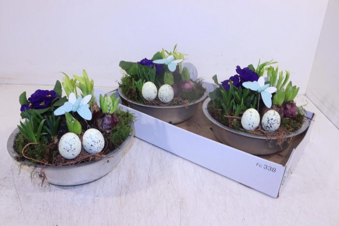 <h4>ARR TUINPLANTEN</h4>