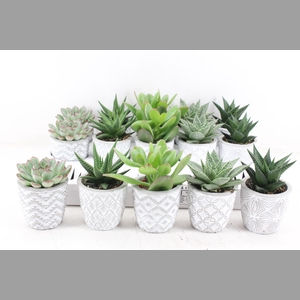 arr3 OV - Ker. stockholm mix