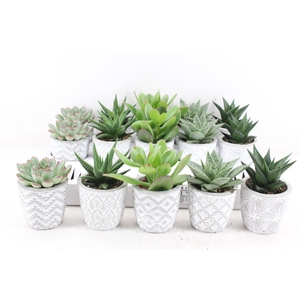 arr3 OV - Ker. stockholm mix