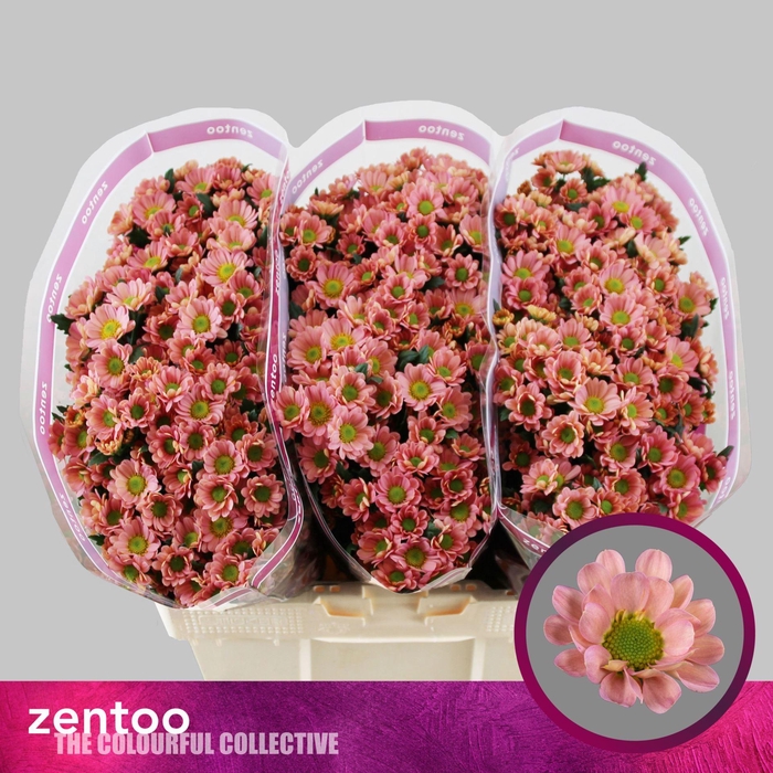 <h4>CHR SAN ROSSI SMOKEY CHR S ROSSI SM</h4>