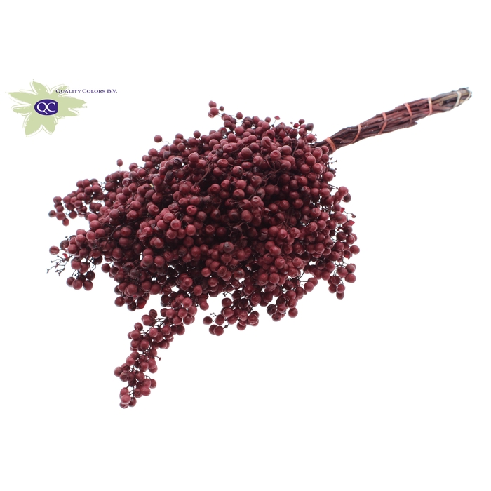 <h4>Pepperberries per bunch in poly Burgundy</h4>