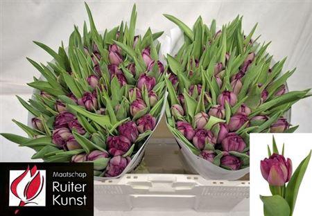 <h4>Tu Du Blue Diamond</h4>