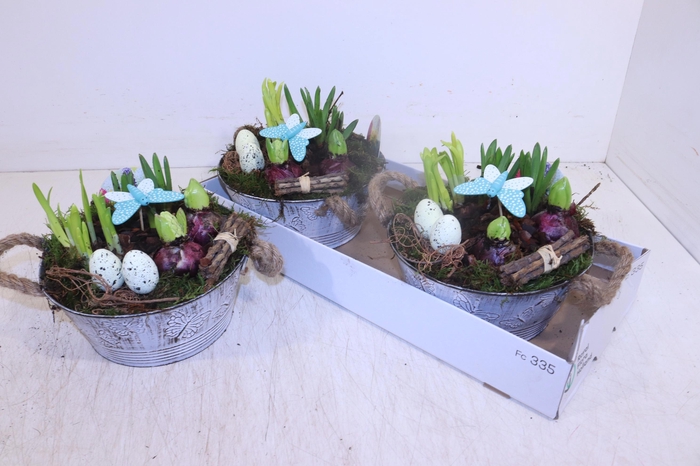 <h4>ARR BOL KNOLGEWAS</h4>