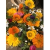 BOUQUET X7 RANUNCULUS CINEREA MIX E