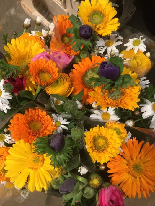 BOUQUET X7 RANUNCULUS CINEREA MIX E