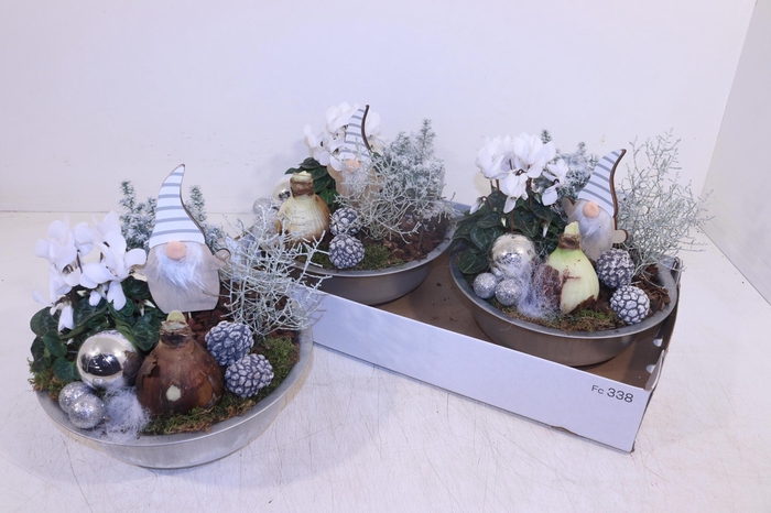 <h4>ARR HIPPEASTRUM</h4>