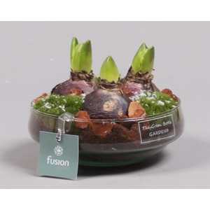 Green Bottle Iris Small met Hyacinten