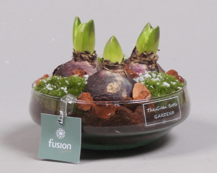 <h4>Green Bottle Iris Small met Hyacinten</h4>