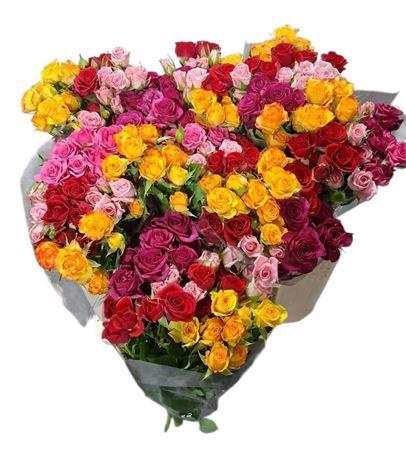 <h4>R Tr Gemengd In Bos</h4>