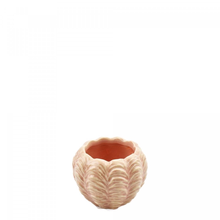 <h4>Ceramics Exclusive Ada pot d09*7cm</h4>