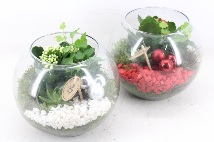 <h4>arr2 PL - Glas bol 402/2 - rood/wit</h4>