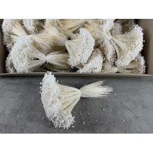 DF Glixia Bleached Bs 100g
