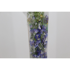 DELPHINIUM 090 CM AZUL