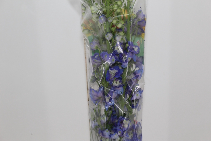<h4>DELPHINIUM 090 CM AZUL</h4>
