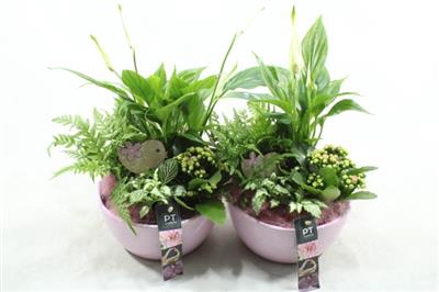 <h4>6319 Xl L.roze Ker Spath</h4>