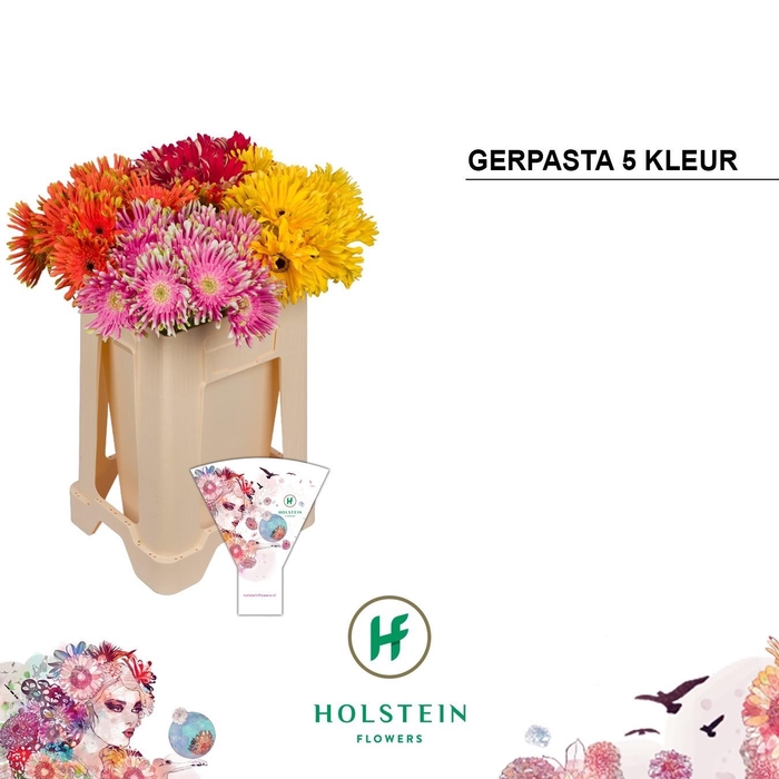 <h4>Ge Kv Gerpasta Gem</h4>