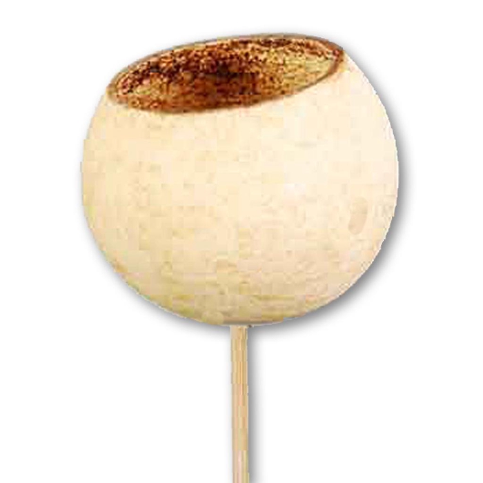 <h4>Bell Cup O/s Natural</h4>