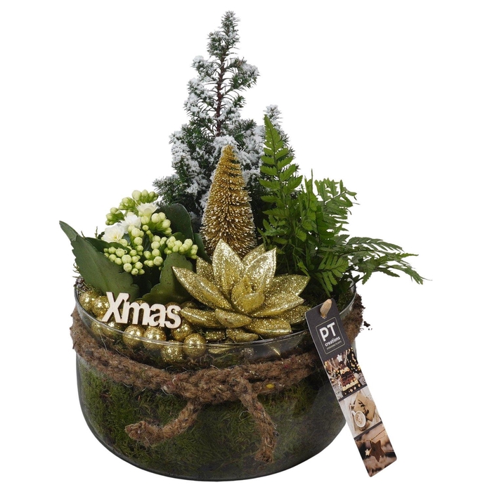 <h4>Christmas Arrangement 19Ø 28cm</h4>