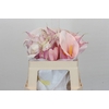 Zantedeschia Eydolls Purple White