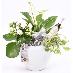 Keramiek wit ovaal 18x11cm