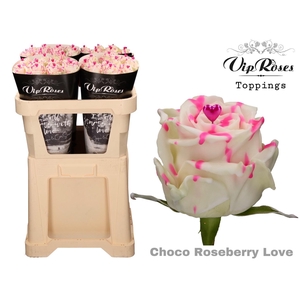R GR CHOCO ROSEBERRY LOVE  x 20