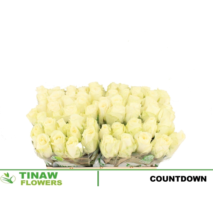 <h4>R Gr Countdown!</h4>