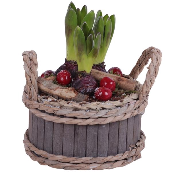 <h4>Winter Arr. Hyacint Wooden Pot Round Waterhyacint Rim Ø19cm 3PP</h4>