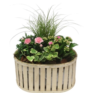 3052 OVAAL SPIJLEN BT