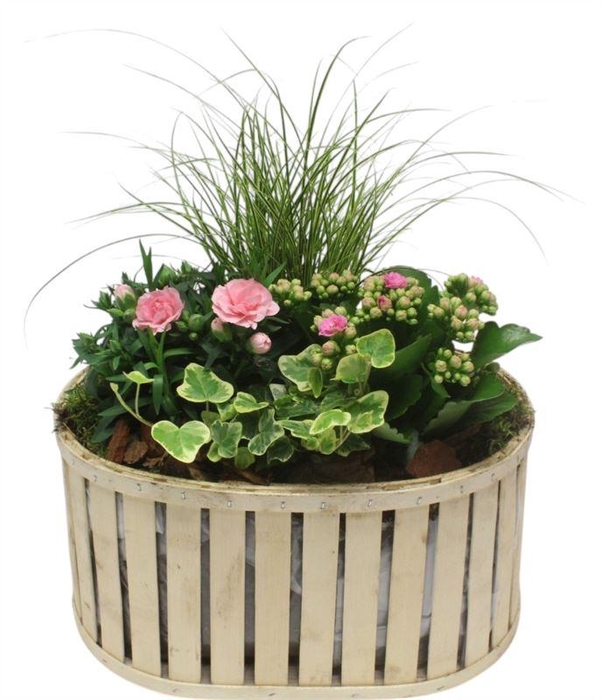 <h4>3052 OVAAL SPIJLEN BT</h4>