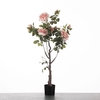 AF Rosa in pot H115cm Pink