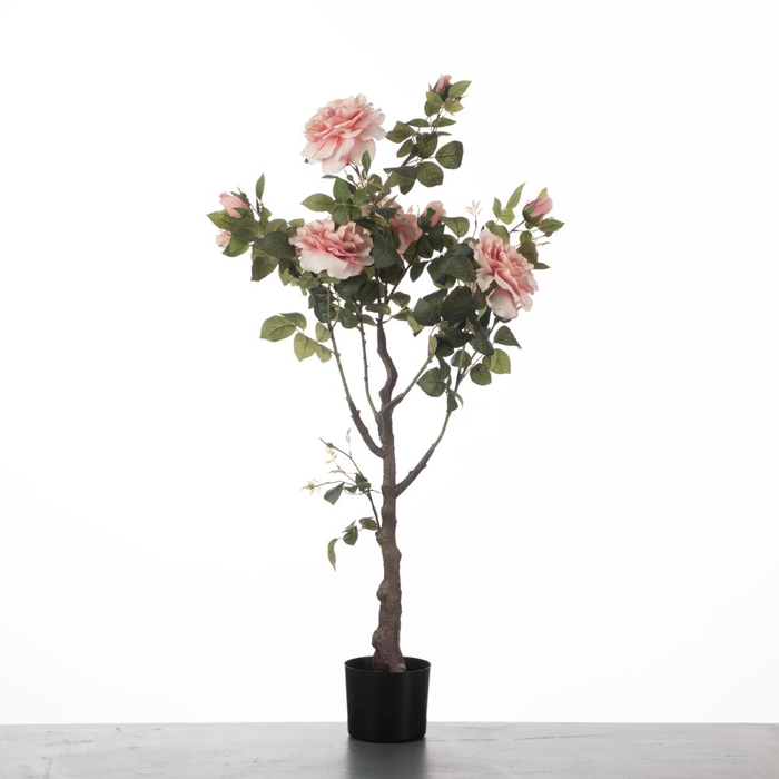 <h4>Af Rosa In Pot H115cm Pink</h4>