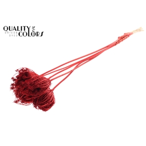 Ammi Majus 4-6cm 5pc/bunch Bleached Red