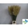 CORTA SE EVITA FRESH 120CM