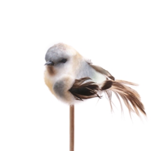 Bijsteker 50cm Vogel Tommy 11cm