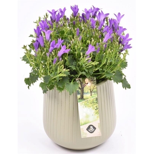 Keramiek vert.lines creme mat 12cm