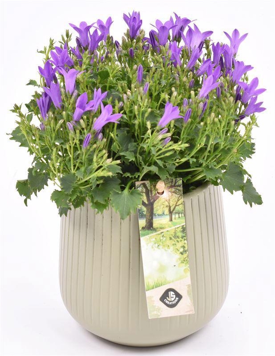 <h4>Keramiek vert.lines creme mat 12cm</h4>