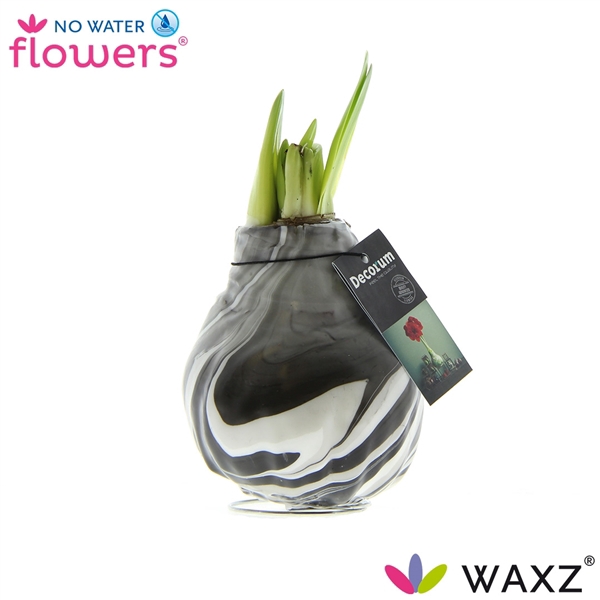 <h4>No Water Flowers Waxz® Artooz Earth Black(Decorum)</h4>