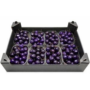 Waxmalus Paars