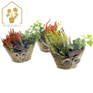 ARR TUINPLANTEN