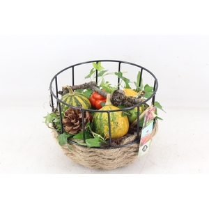 arr4 Sierfruit JS - Draadmand touw