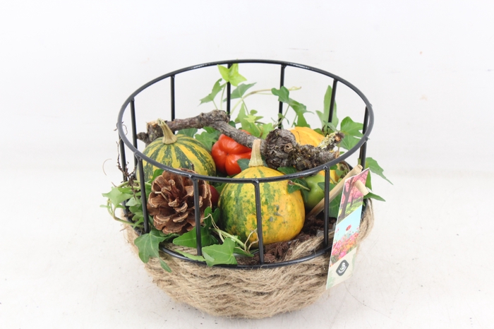 <h4>arr4 Sierfruit JS - Draadmand touw</h4>