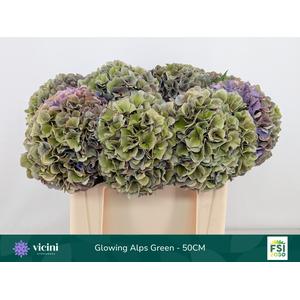 Glowing Alps Green - 50CM
