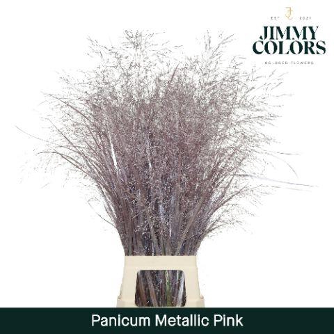 <h4>Panicum L90 Mtlc. Pink</h4>