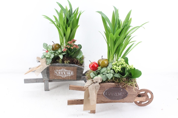 <h4>arr2 TD - Houten kruiwagen - rood/wit</h4>